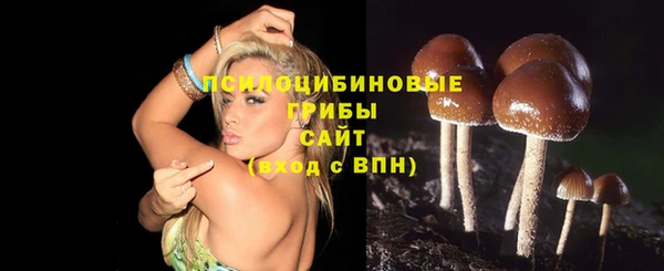 Альфа ПВП Баксан