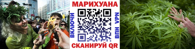 цены наркотик  Шатура  Каннабис ГИДРОПОН 